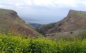 بيوت Arbel للعطلات